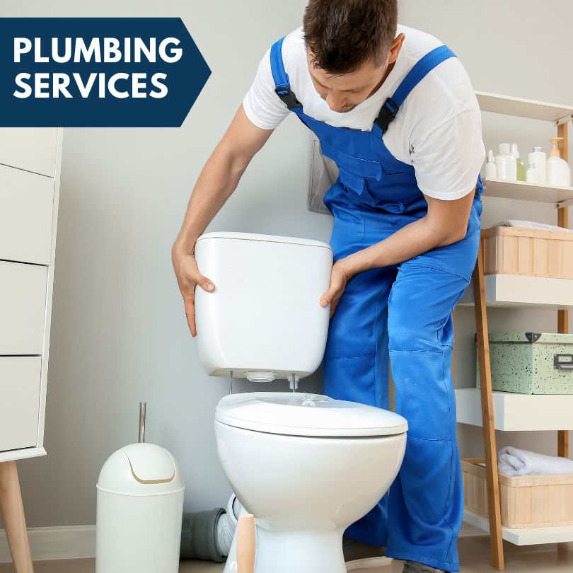 Plumbing Company in Mount Auburn, IL
